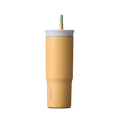 24 oz Insulated Stainless Steel Tumbler