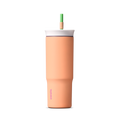 24 oz Insulated Stainless Steel Tumbler