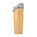 Insulated Straw Lid Water Bottle with Handle