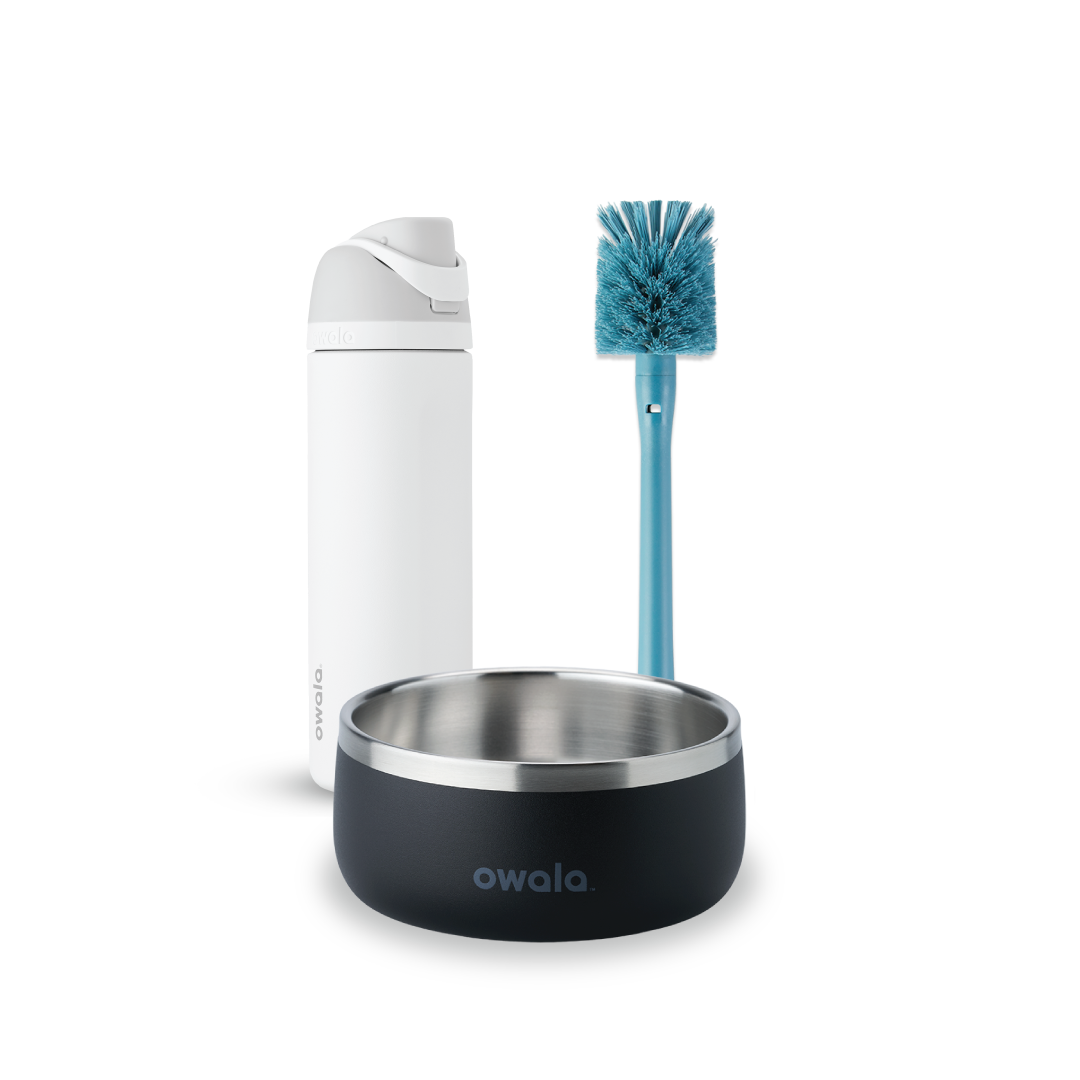 Water Bottle and Pet Bowl Bundle